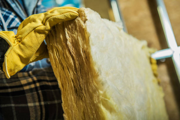 Best Spray Foam Insulation in Thonotosassa, FL
