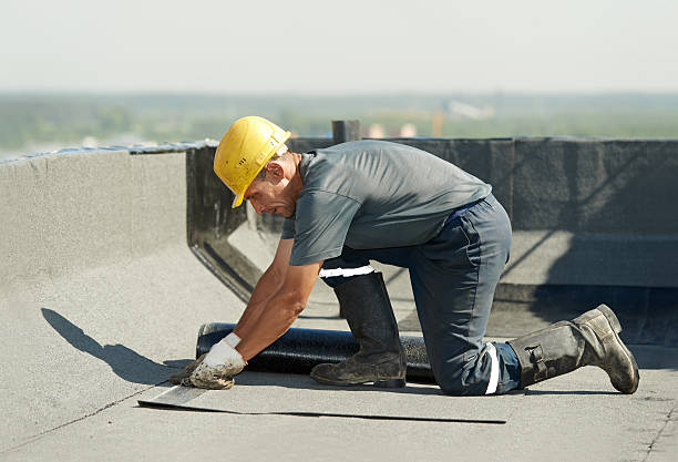 Types of Insulation We Offer in Thonotosassa, FL