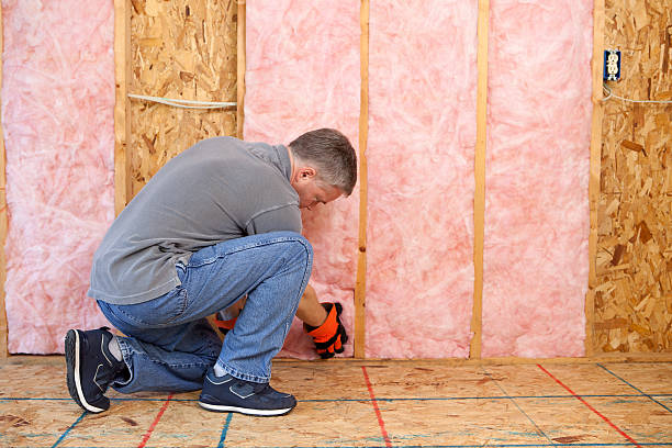 Best Energy Efficiency Insulation in Thonotosassa, FL