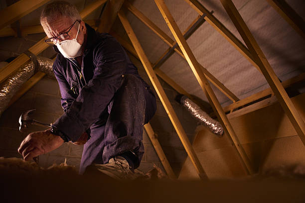 Professional Insulation Contractor in Thonotosassa, FL