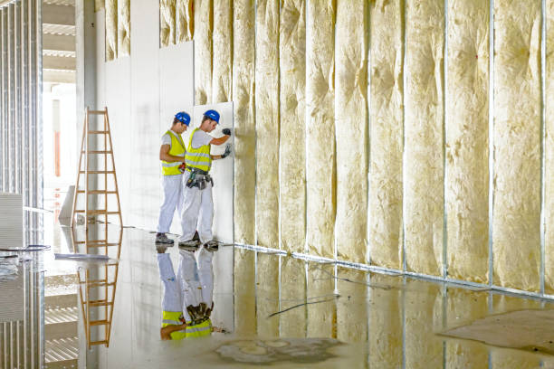 Best Commercial Insulation in Thonotosassa, FL